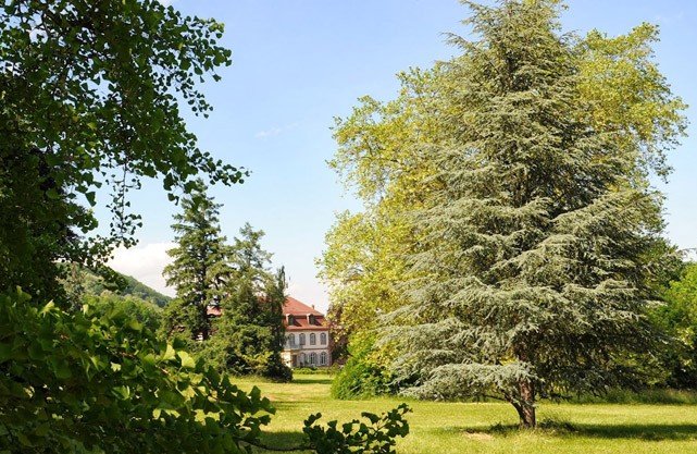 01cf42c7-defe-420f-92f1-8a9fe89b2ef1