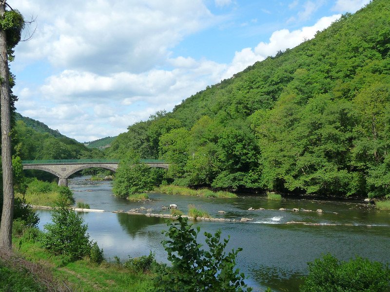 024bb00d-74b1-48e2-ac13-a8fea75f9925