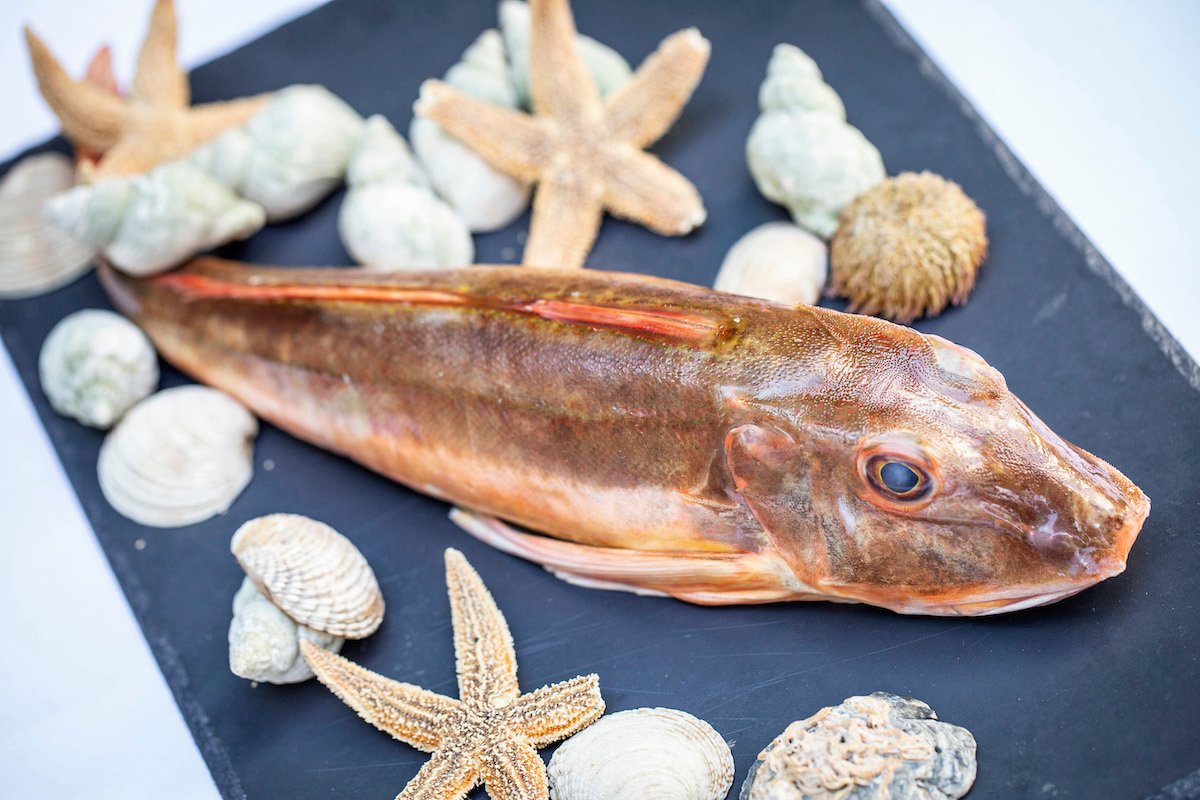 024c901f-3087-46b4-8e7f-a5b8fa19aceb