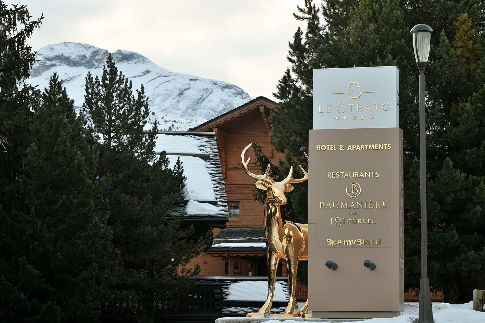 025b2901-d4d6-4ad8-a0c4-92dd1fa9d059