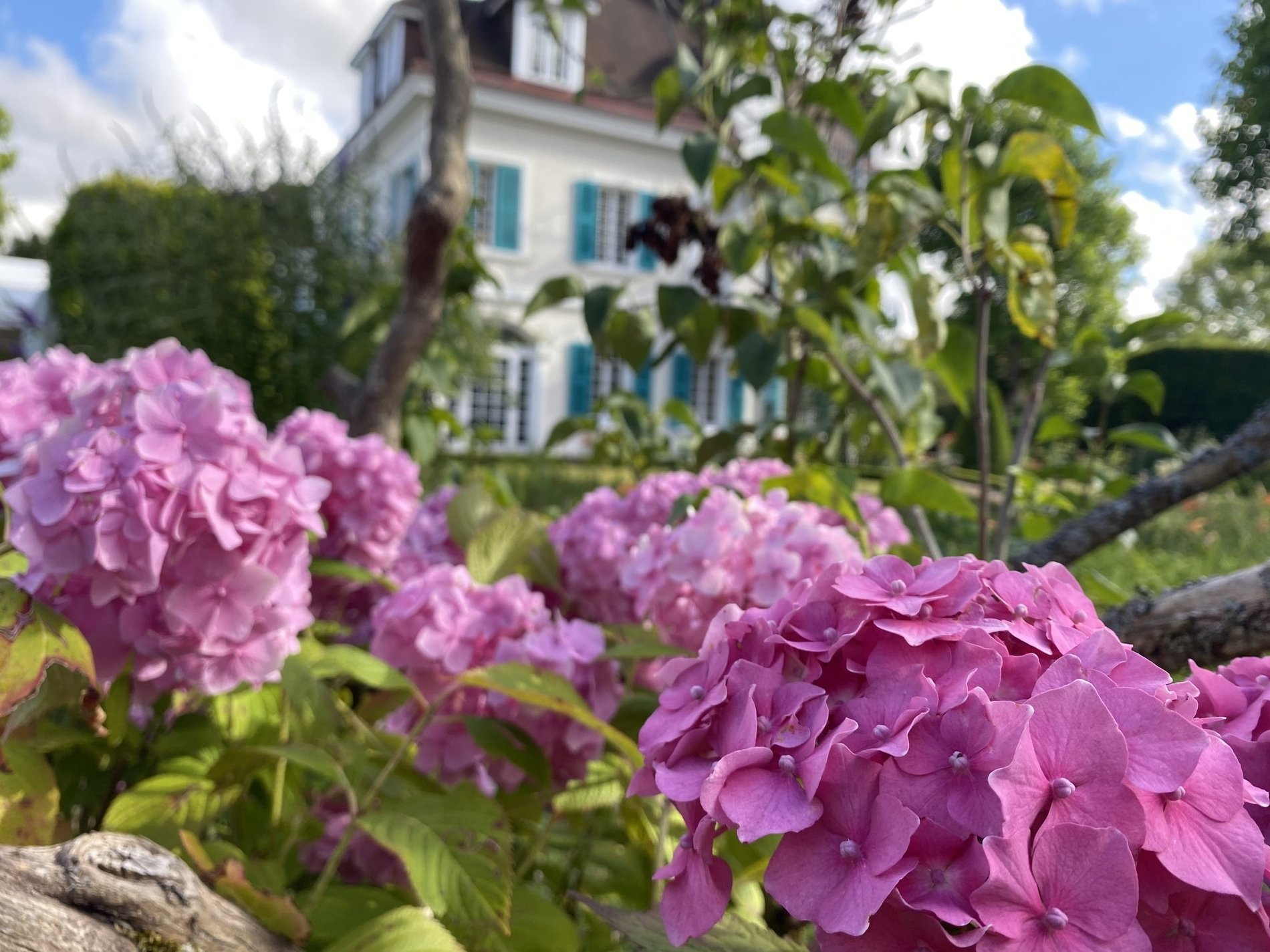 0294d9ec-4cbe-48a6-8478-ae4e12b7ab79