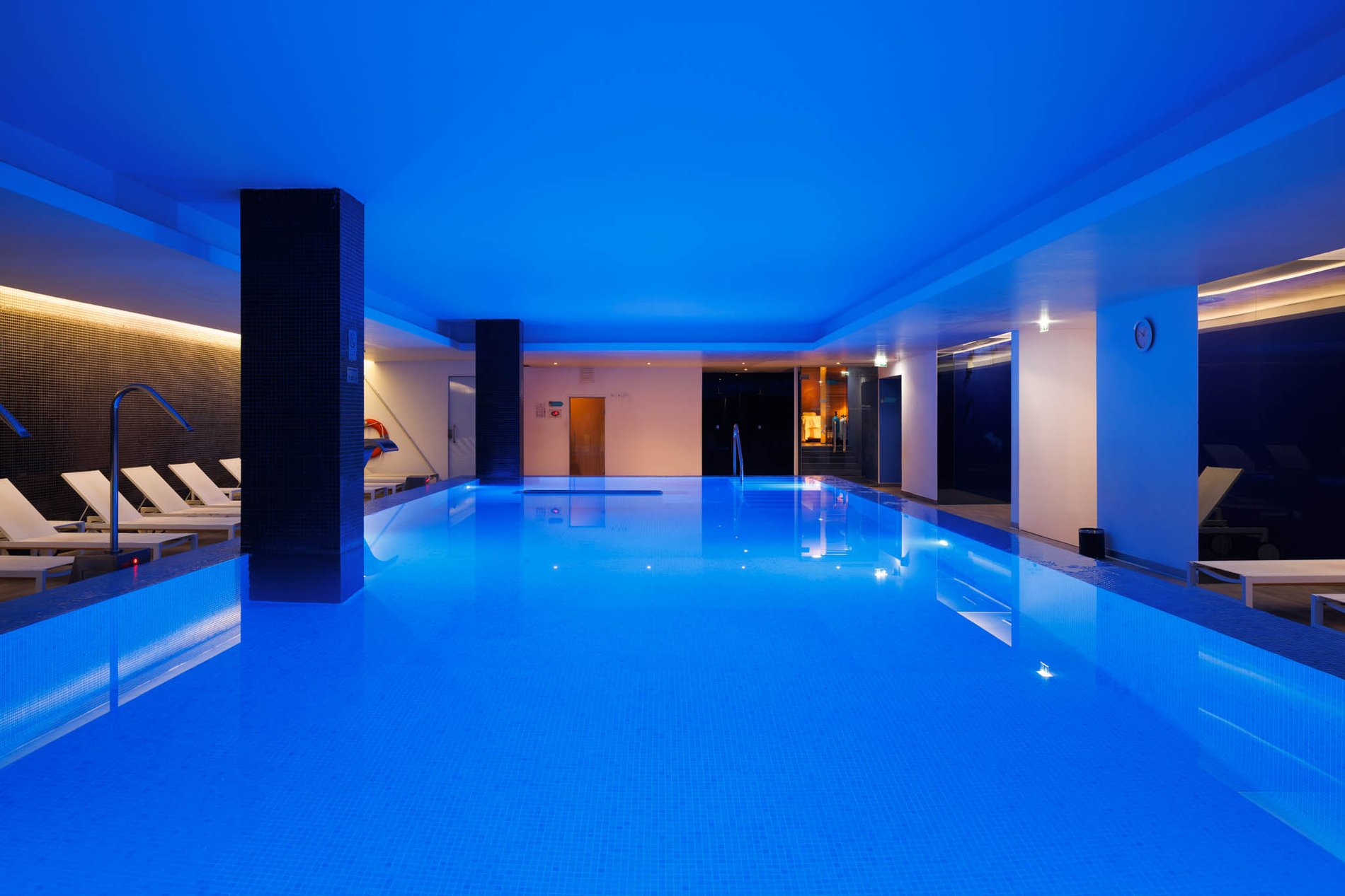 02e8c13d-0d74-49cd-81fb-465441d726f4