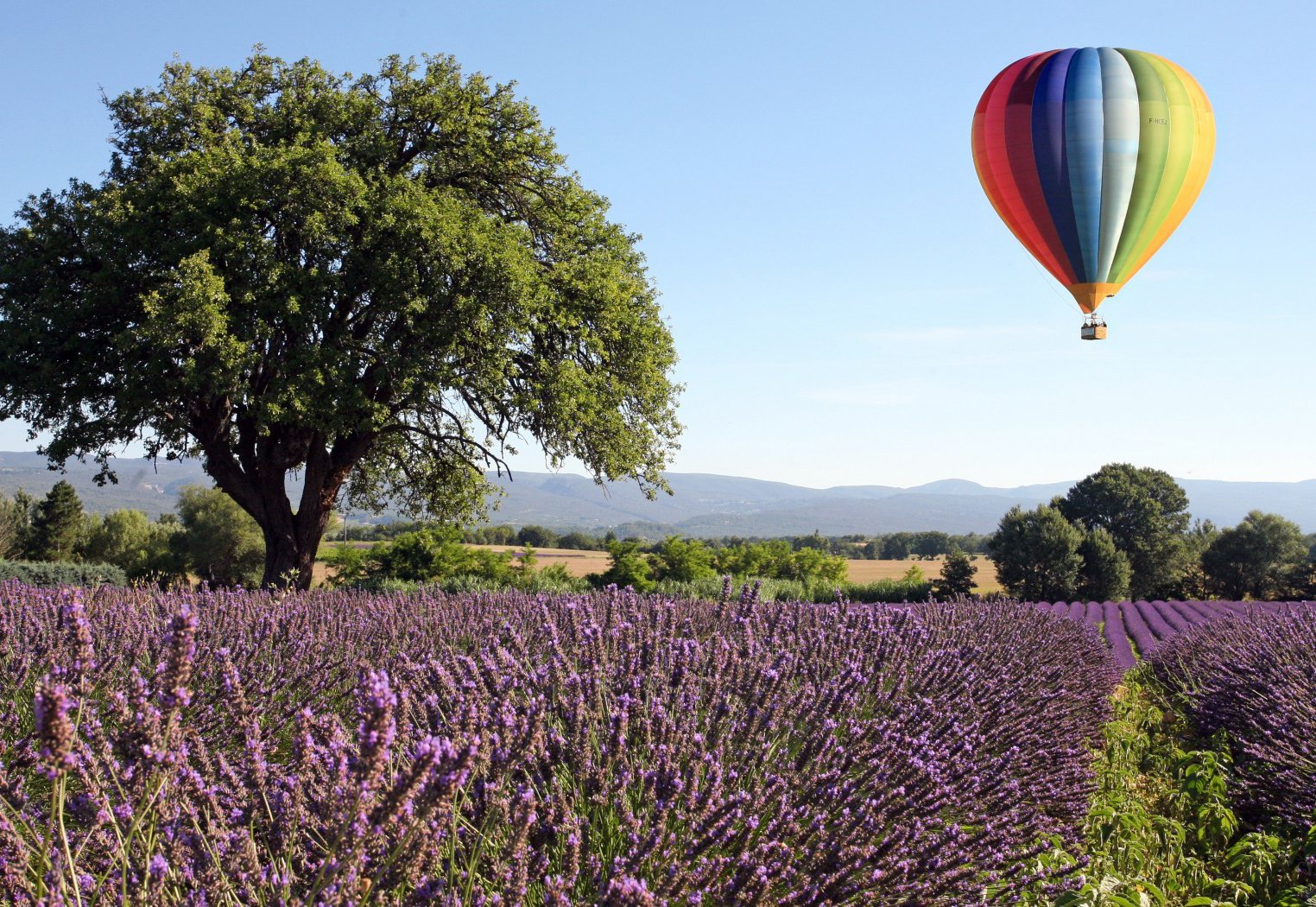 06145f85-ee41-49dc-8a68-1361a0556c69