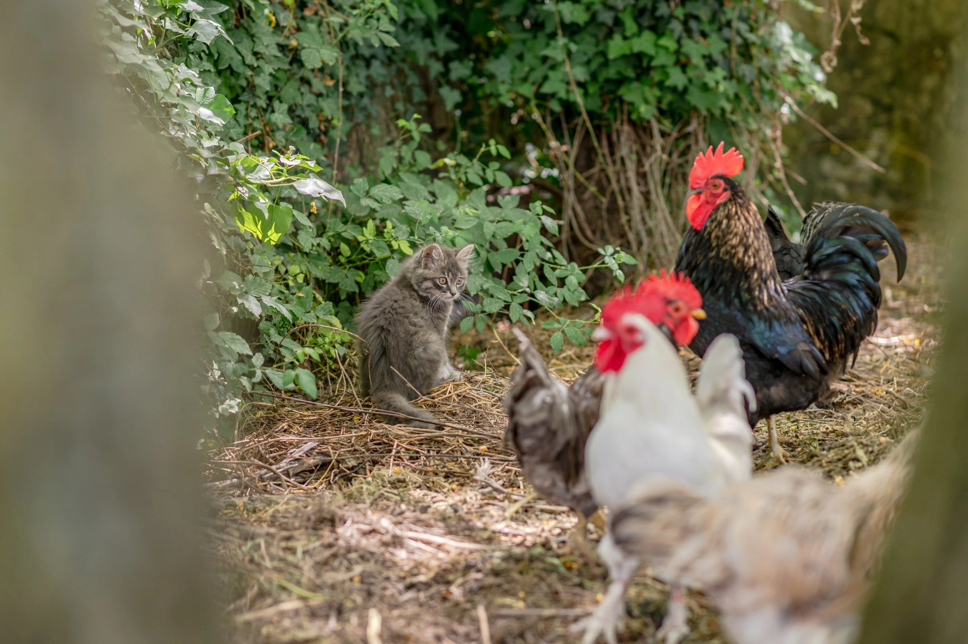 0884199f-3563-437b-9c94-2b336eb6460c