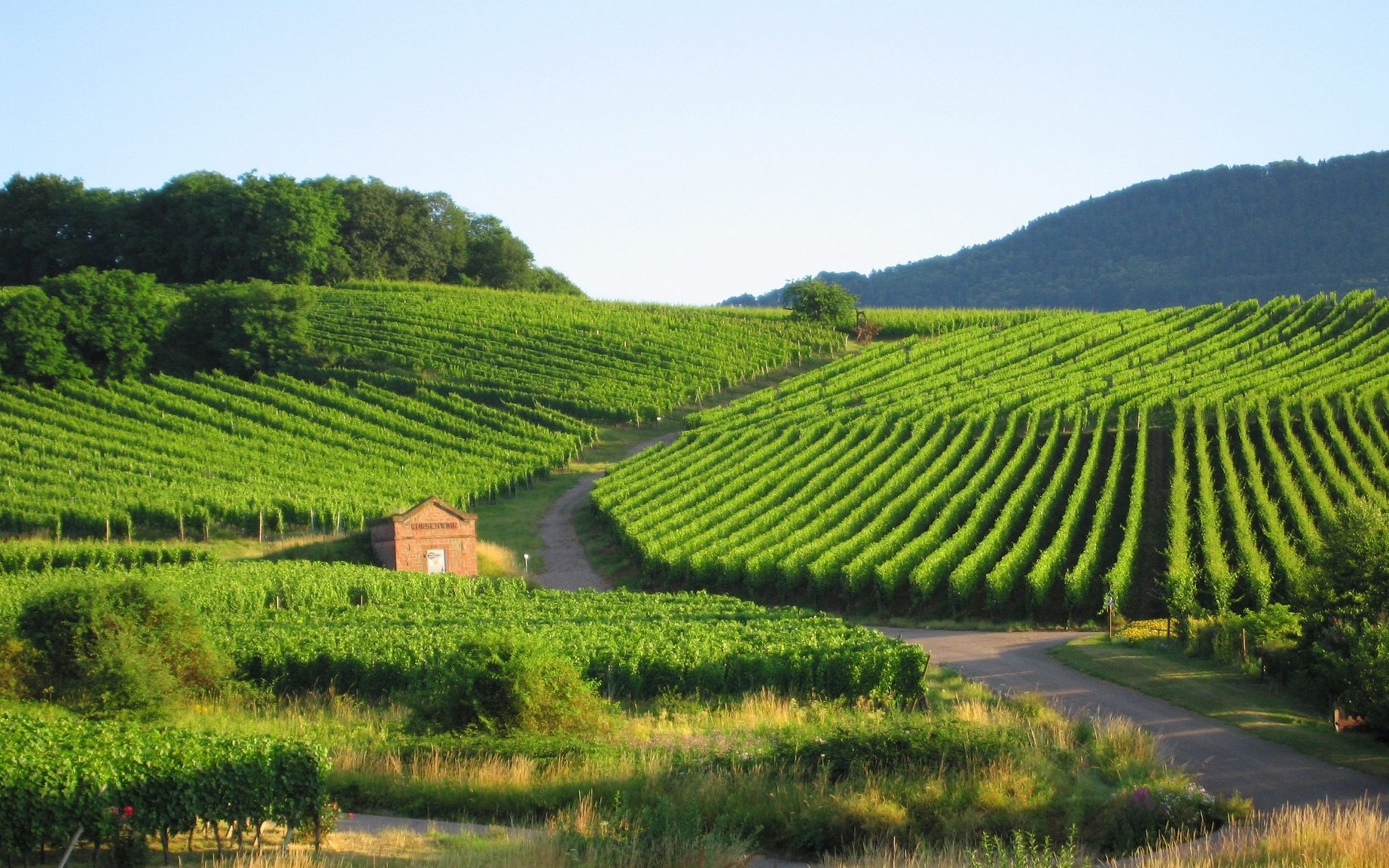 Hostellerie des Châteaux | Alsace Wine Route Hotel