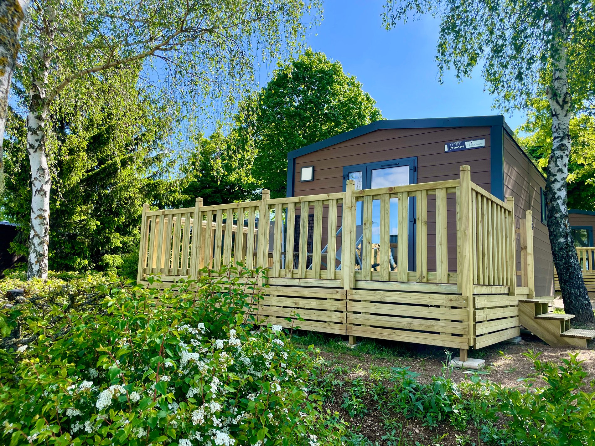 0b74c46a-81b5-4322-b7d9-1ed5be6e7050