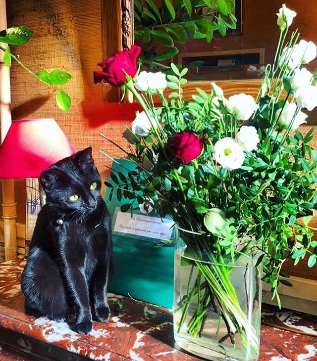 0dda7b99-0339-463b-8ac7-303105d7a5fd