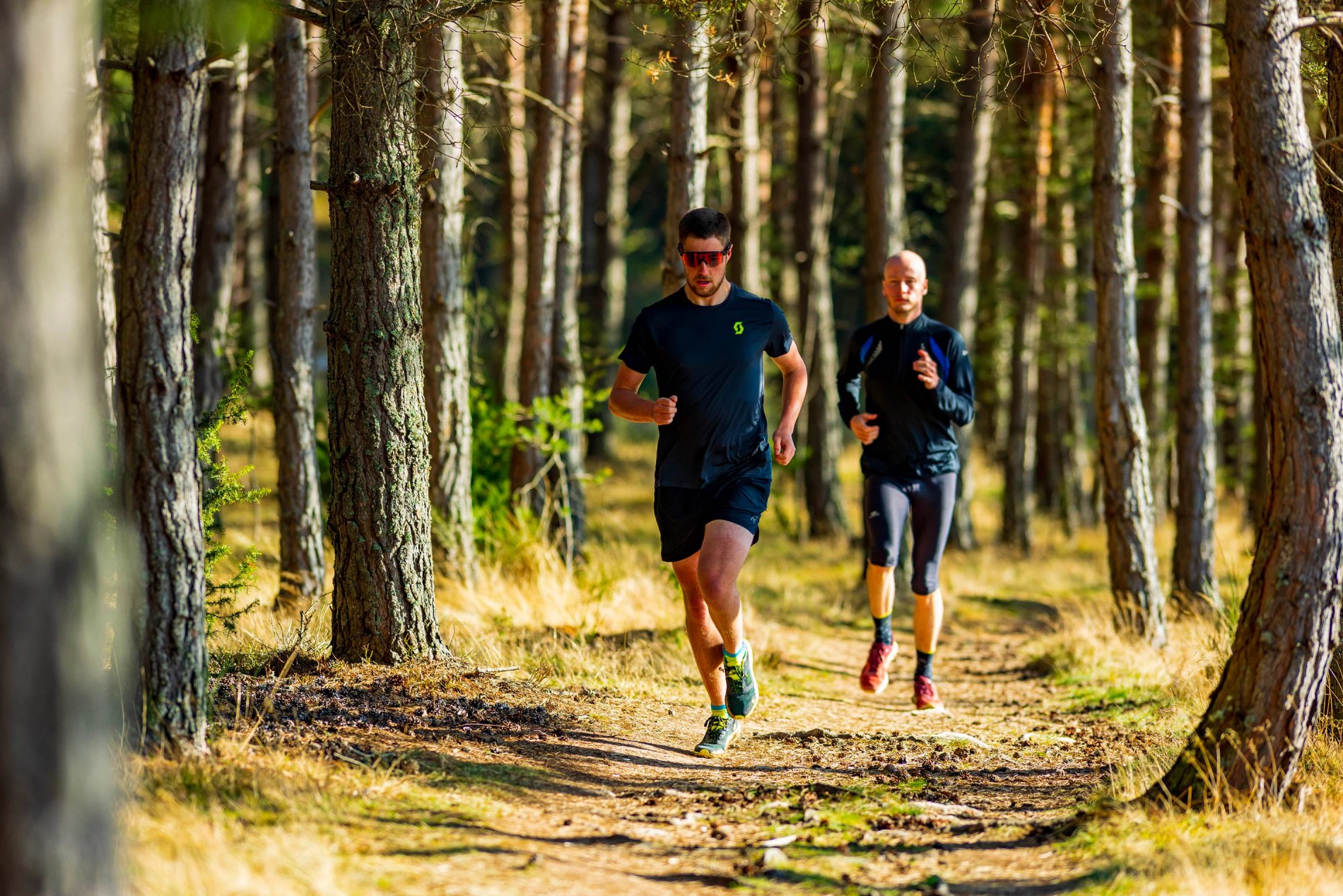 0df0689d-2fee-4ce6-af97-efcd516d76f2