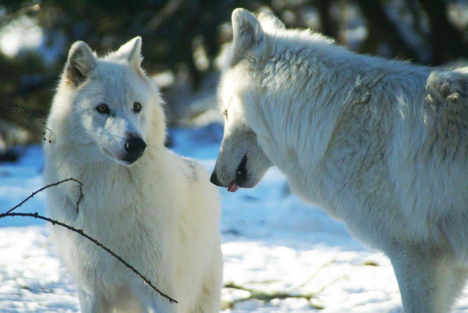 161f85de-e8d5-480c-a7f3-9f040fd7e45c