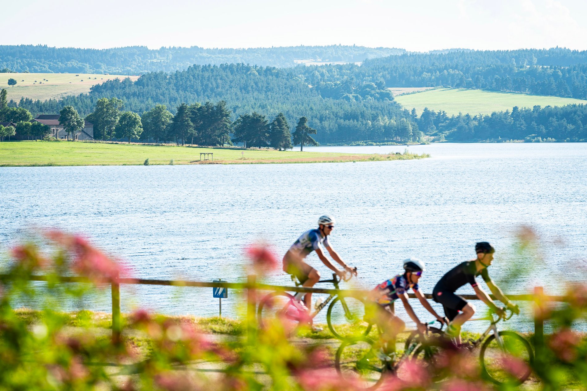 16bcb4fc-7e4e-47fd-8827-5700d10bc581