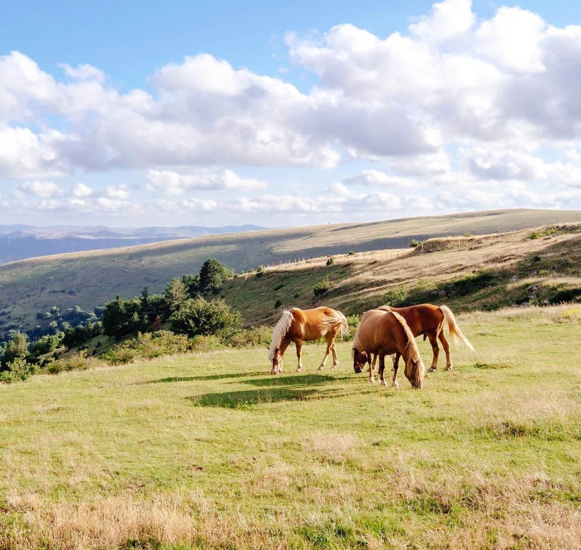 1745e77d-b448-4f66-a424-52edff9354b2