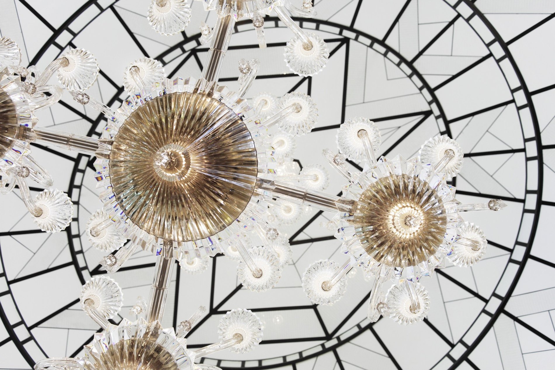 17cd5c42-879b-4047-a752-0005a9f2ae86