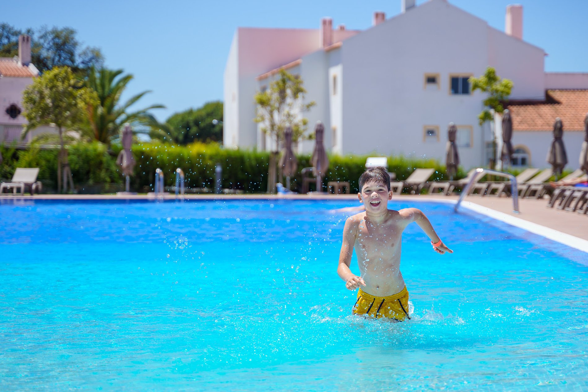 189ba19f-7394-4d5e-ade9-4e754c58037f