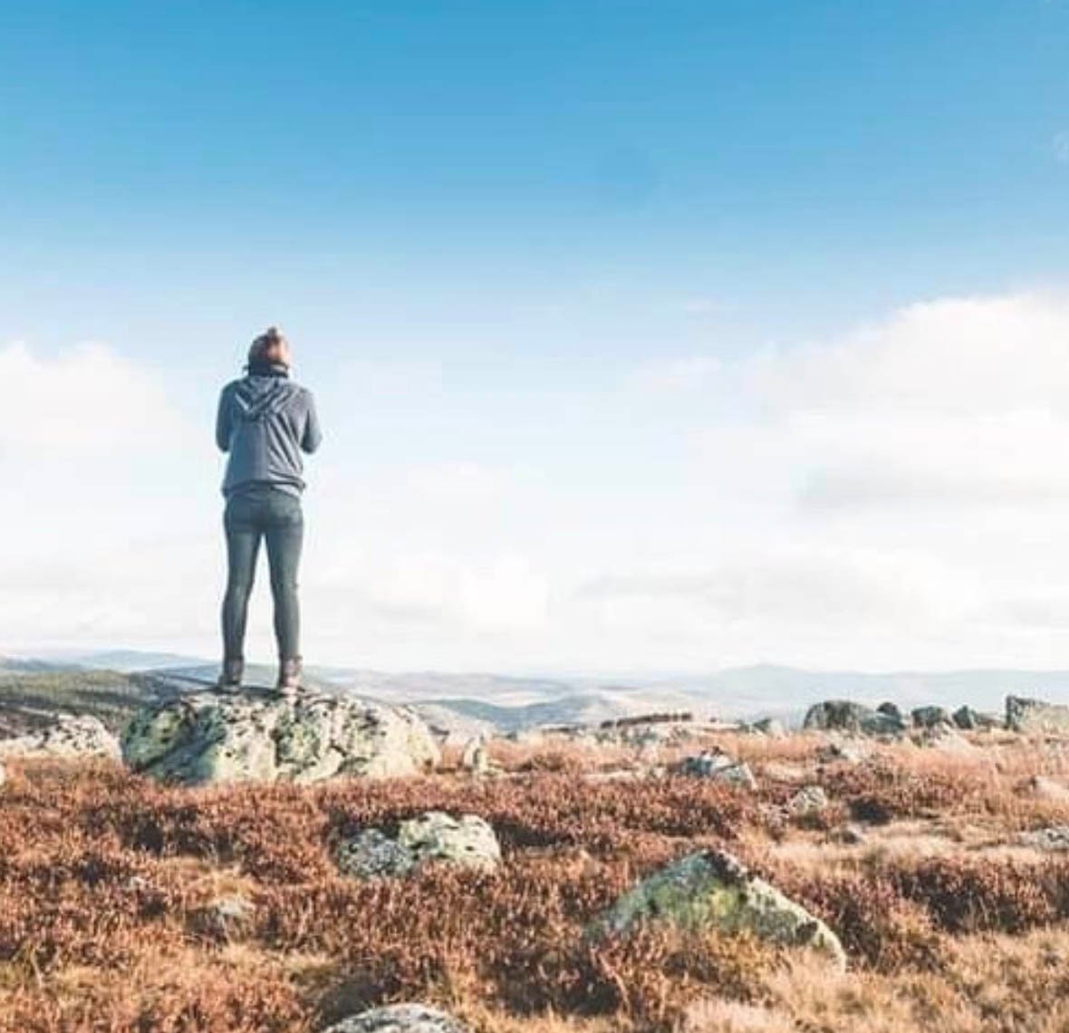 1b5dd891-cf40-479f-8841-c85b5c1de631