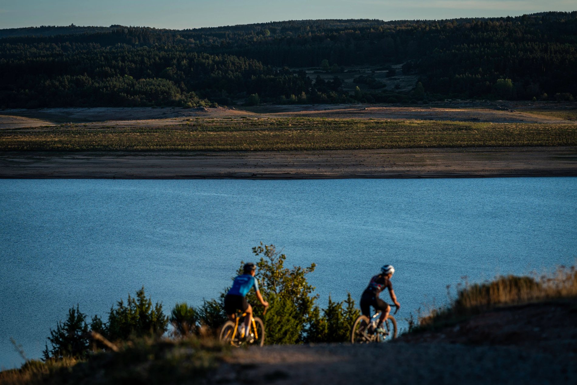 1caf5f0b-0efa-4f40-bb31-9535158993e9