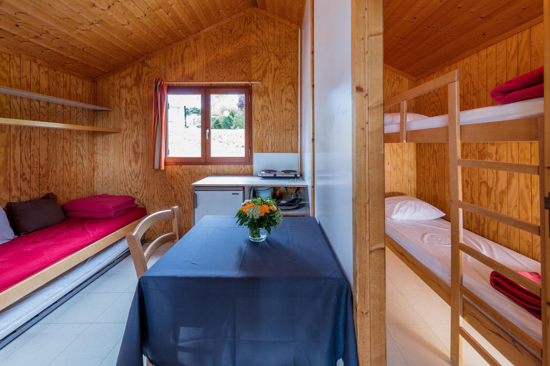 1d7f503f-8f47-4241-a536-88f08d4acdcb