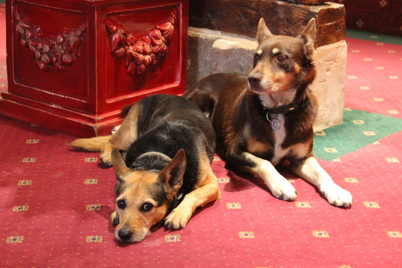 1f1cd18c-9c6c-400d-9f2a-b1dbd298cdcf