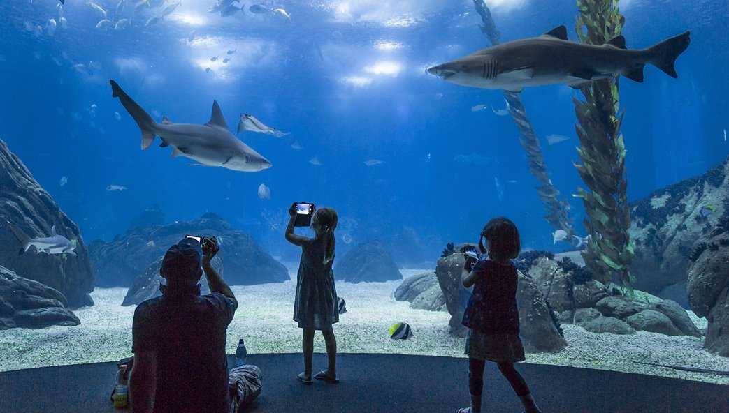 22307d03-6d67-4adc-84d4-1ddce0799470