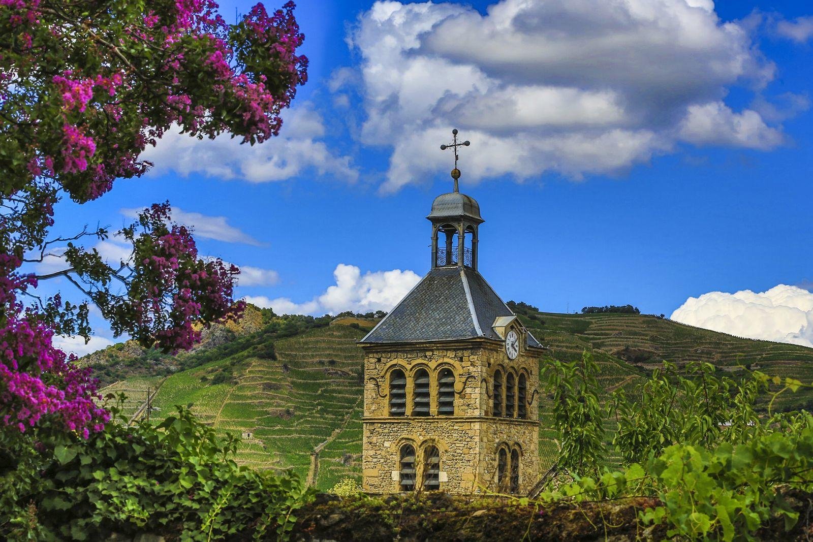 Hôtel de la Villeon | hôtel au milieu des vignobles en Rhône-Alpes