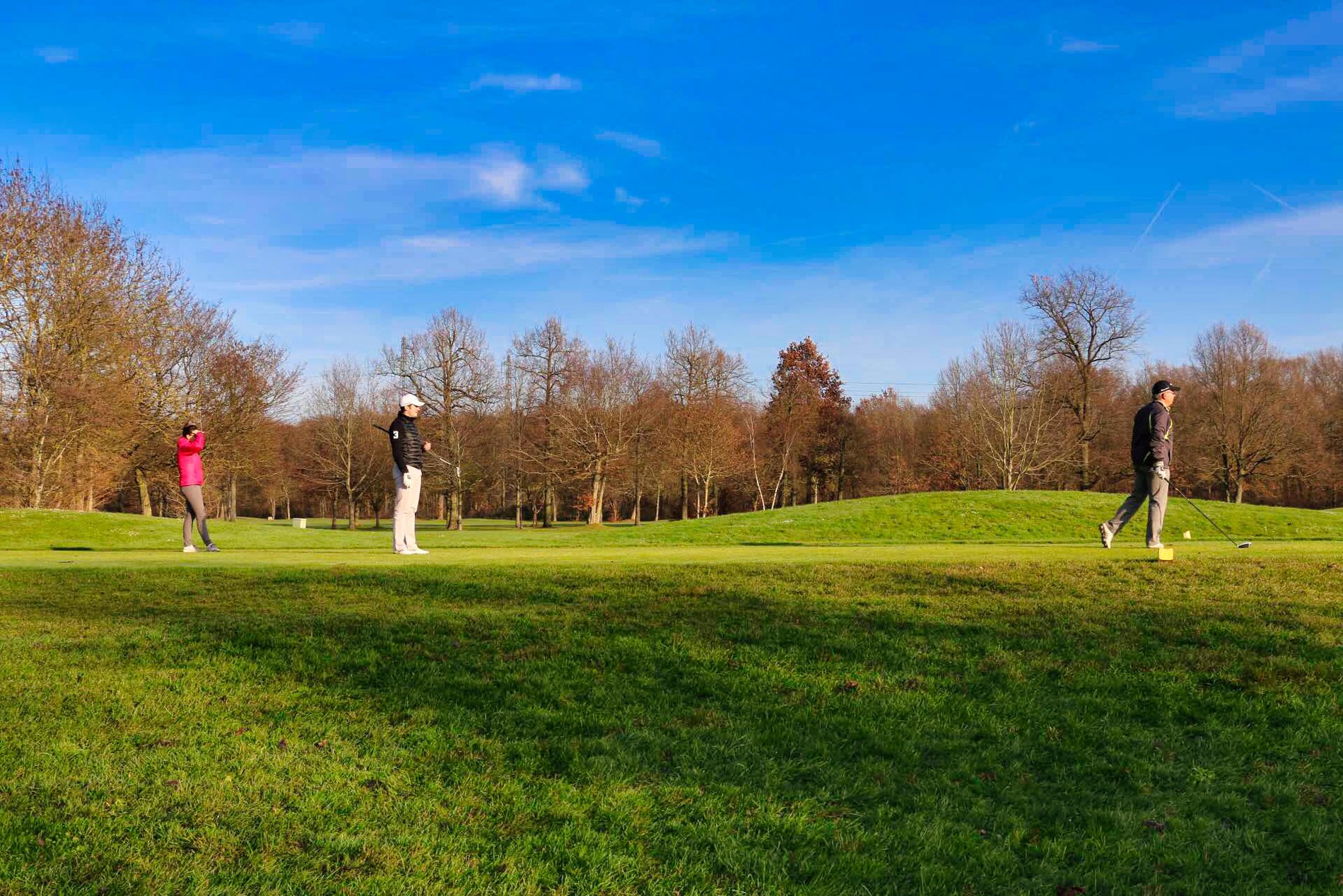 24f8f79d-1d02-451b-bd73-b83ff5276aa1