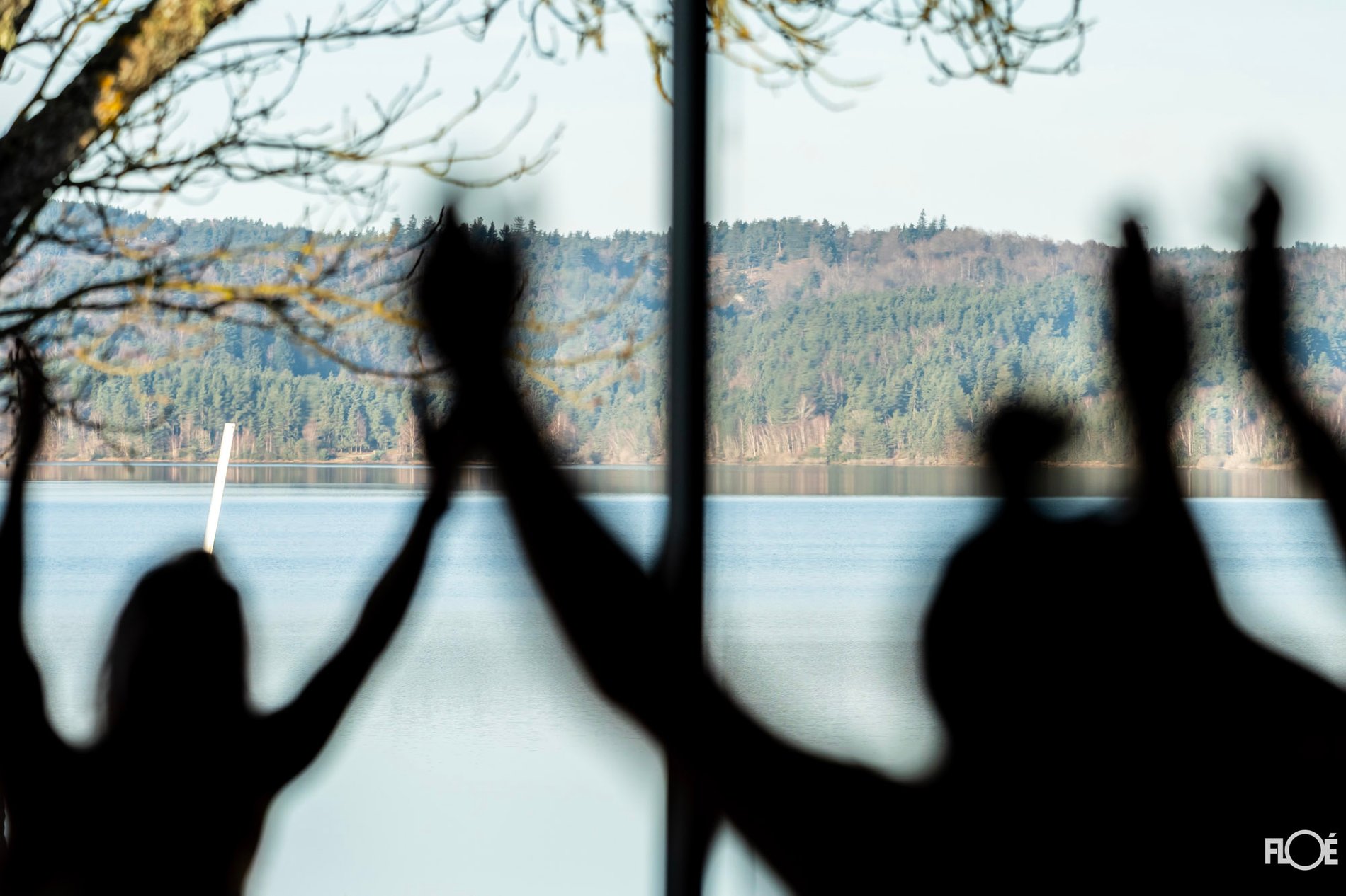 28841cd2-db92-4887-be13-713a474711e0