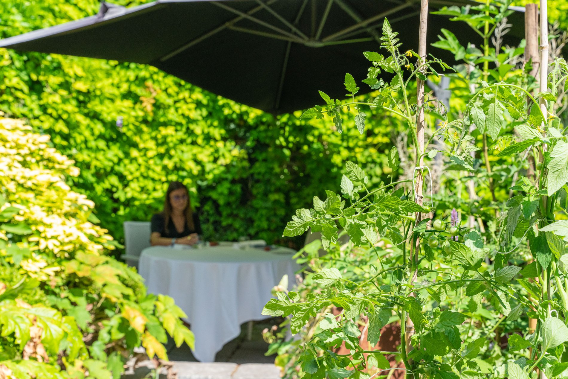 2a5cf924-7981-4082-bed2-68e90ba74853