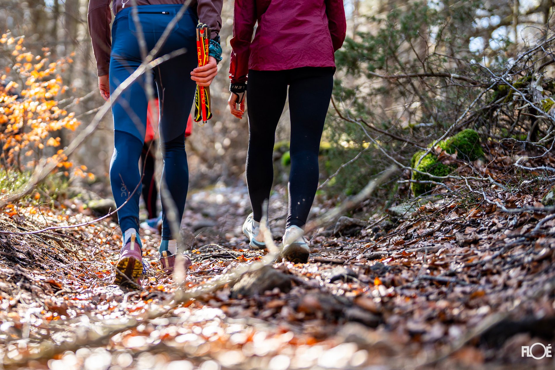 2d2e0bbe-99db-4fbd-a52a-a932b1969d18