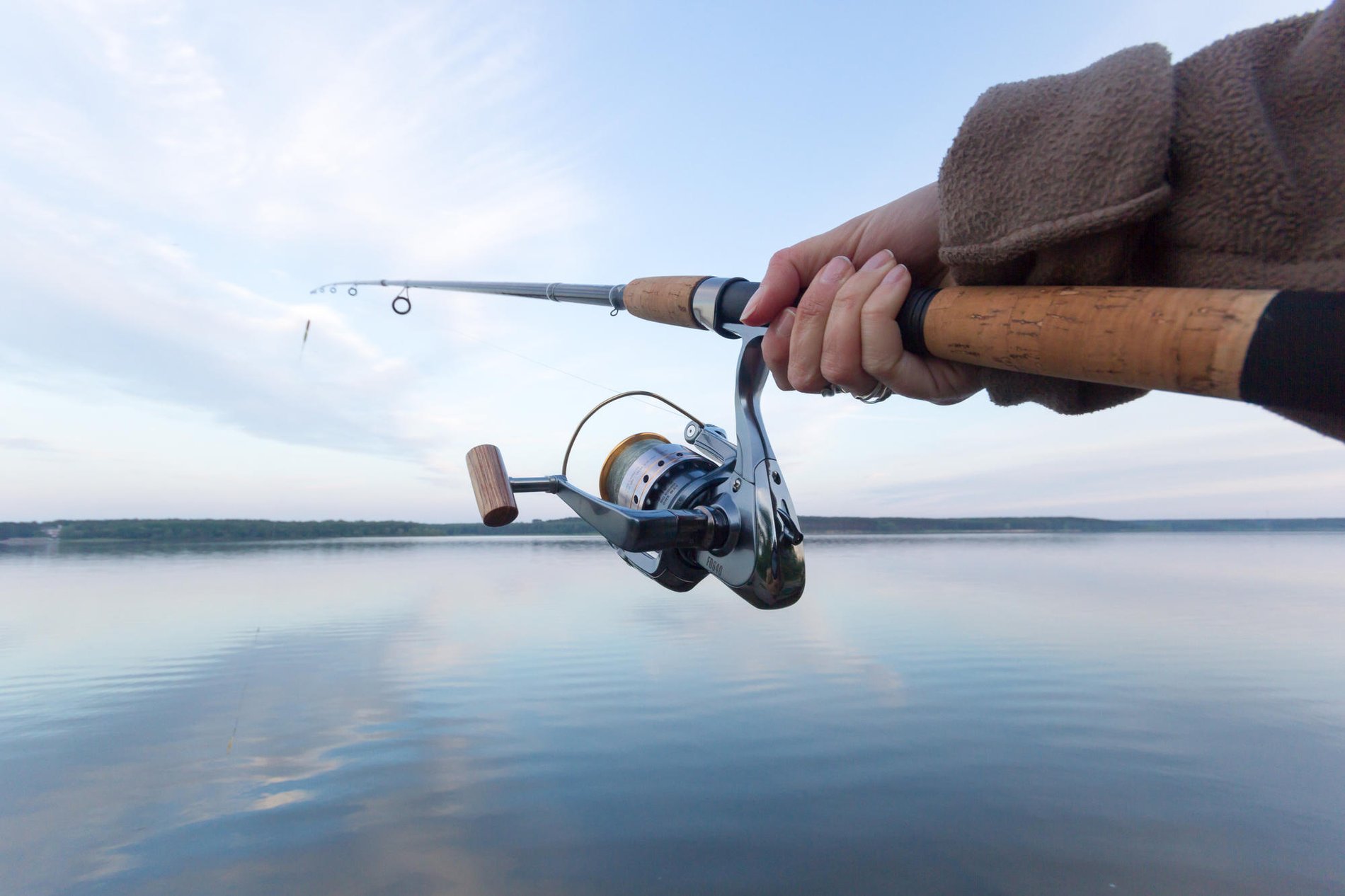 2e3a725e-bf1a-402d-9629-5738b915bb90