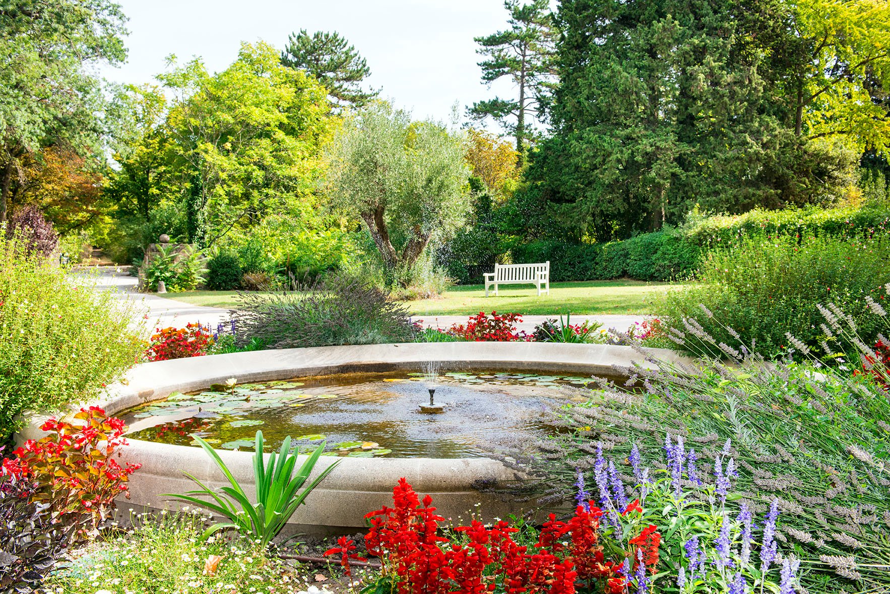 2e588f1a-afd0-4328-927a-685f28867bf1