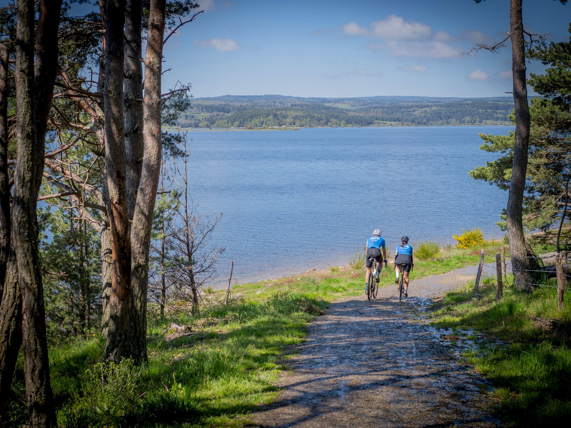 2eaf750b-7245-4b8f-8df0-61f1744db423