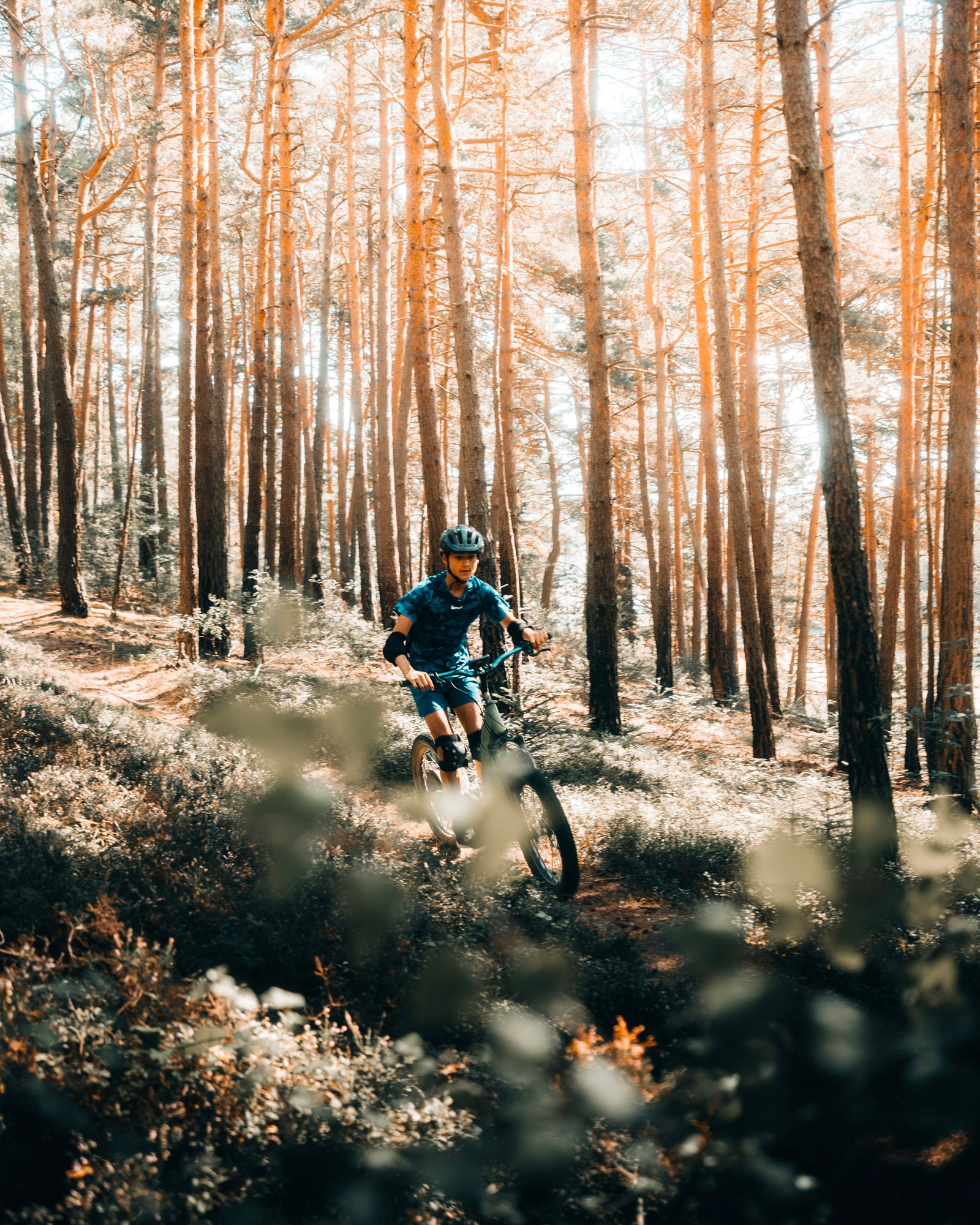 353dd94d-4494-4e29-b8b8-e8aeef3c5ce9