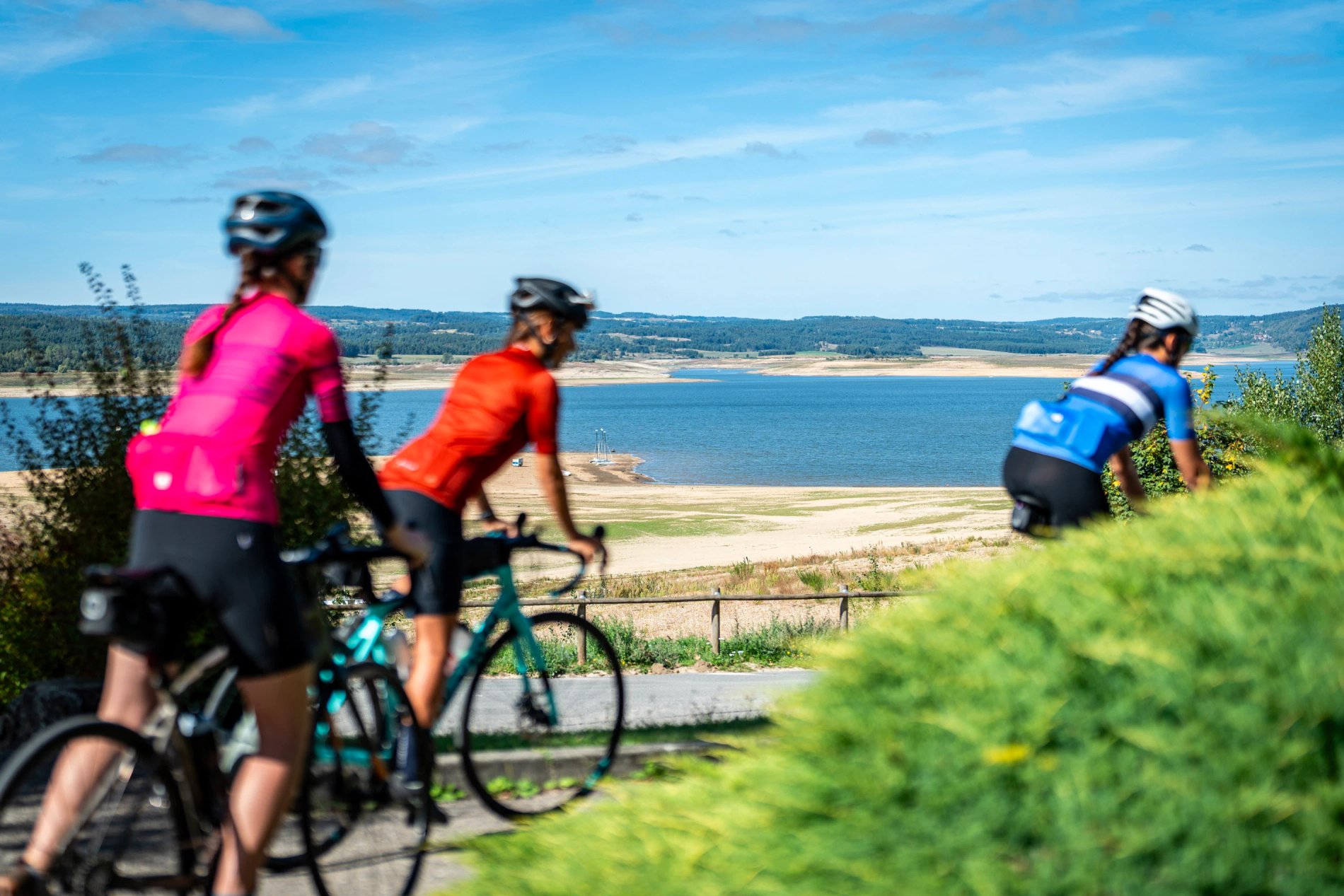 360ff9bd-e006-4fcb-91a6-f5f698dcf43c