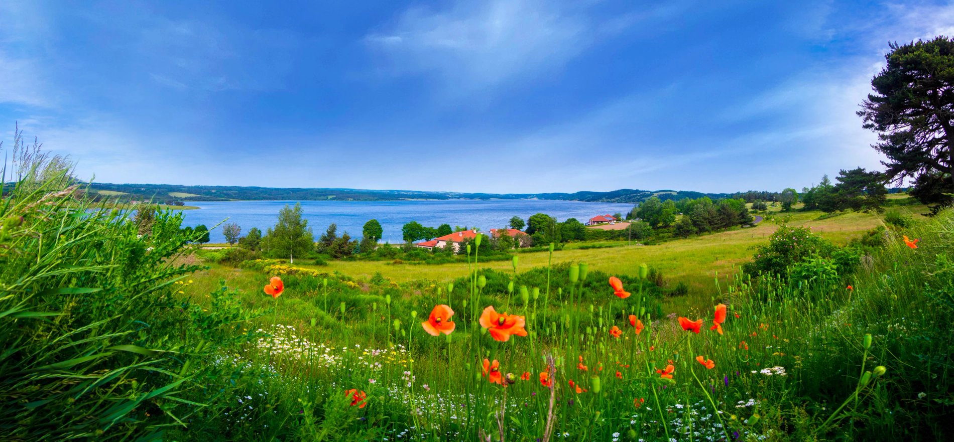 3bc04850-de30-4a13-9020-78c745e30501