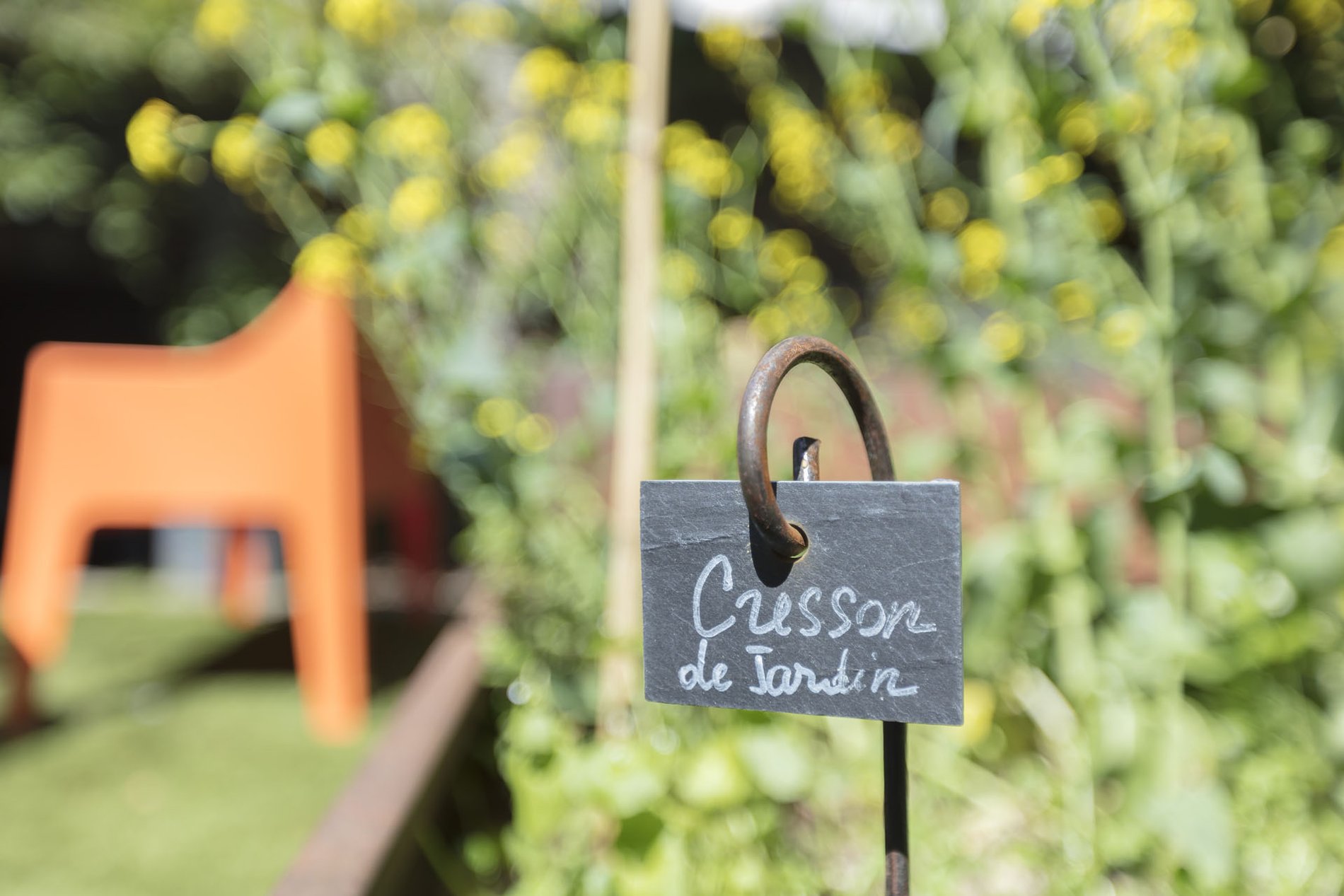 3ee84d5f-fdcb-4048-ba73-ab26285609cc