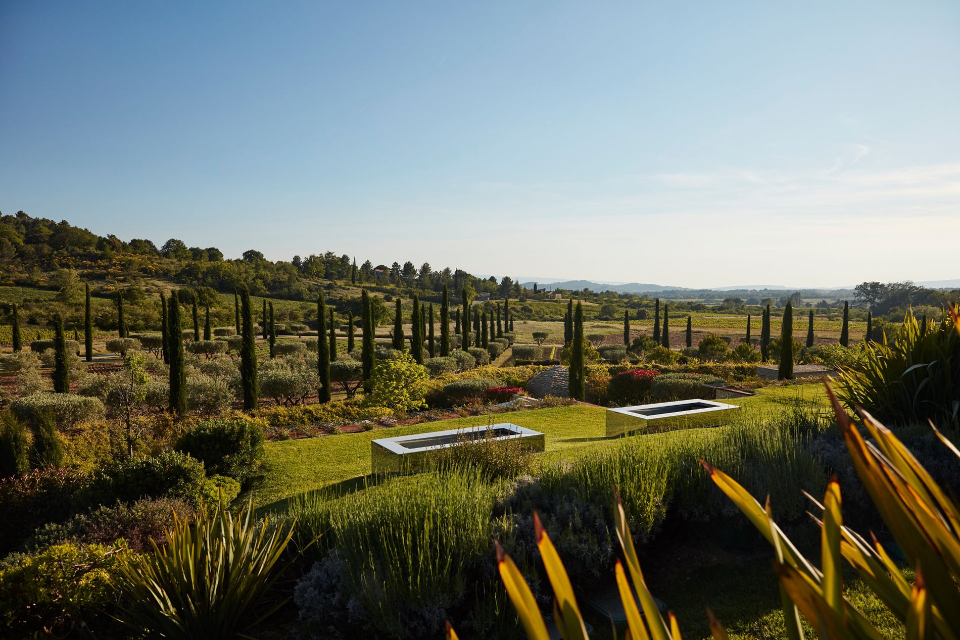 4116da3d-45f9-4984-8a25-3deacd644b85