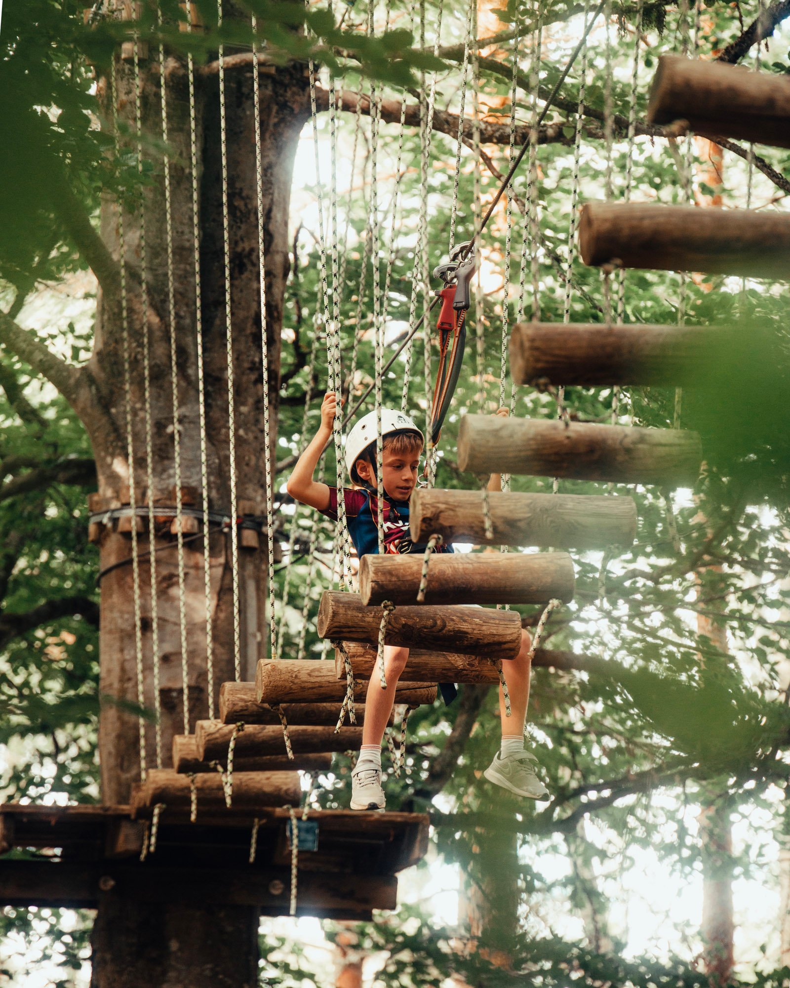 41da7249-ba74-4b05-b2b4-cd29f5050ce5