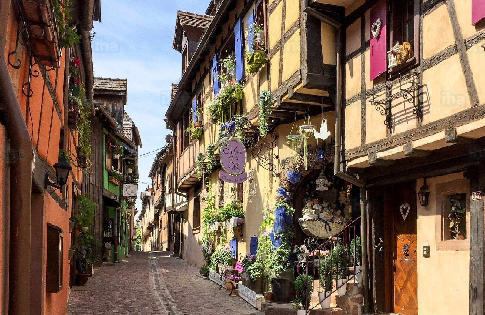 44c38ee3-3e29-4eb4-85cc-c4bd426964f7