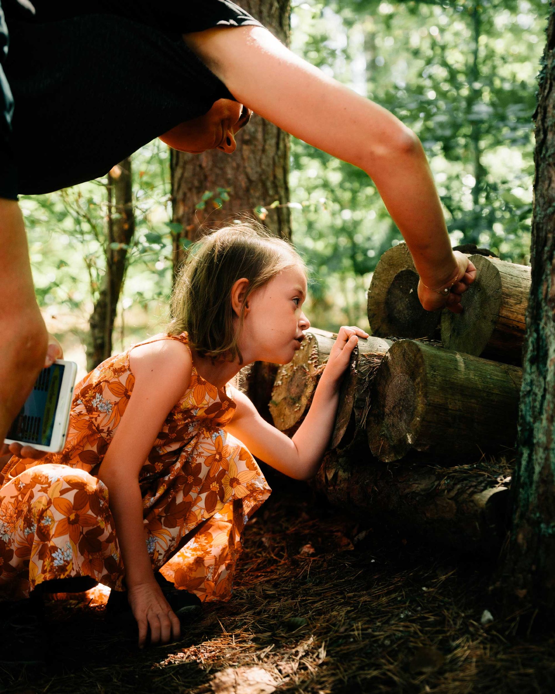 47dd3103-ddf3-465c-b8d6-54e262487939