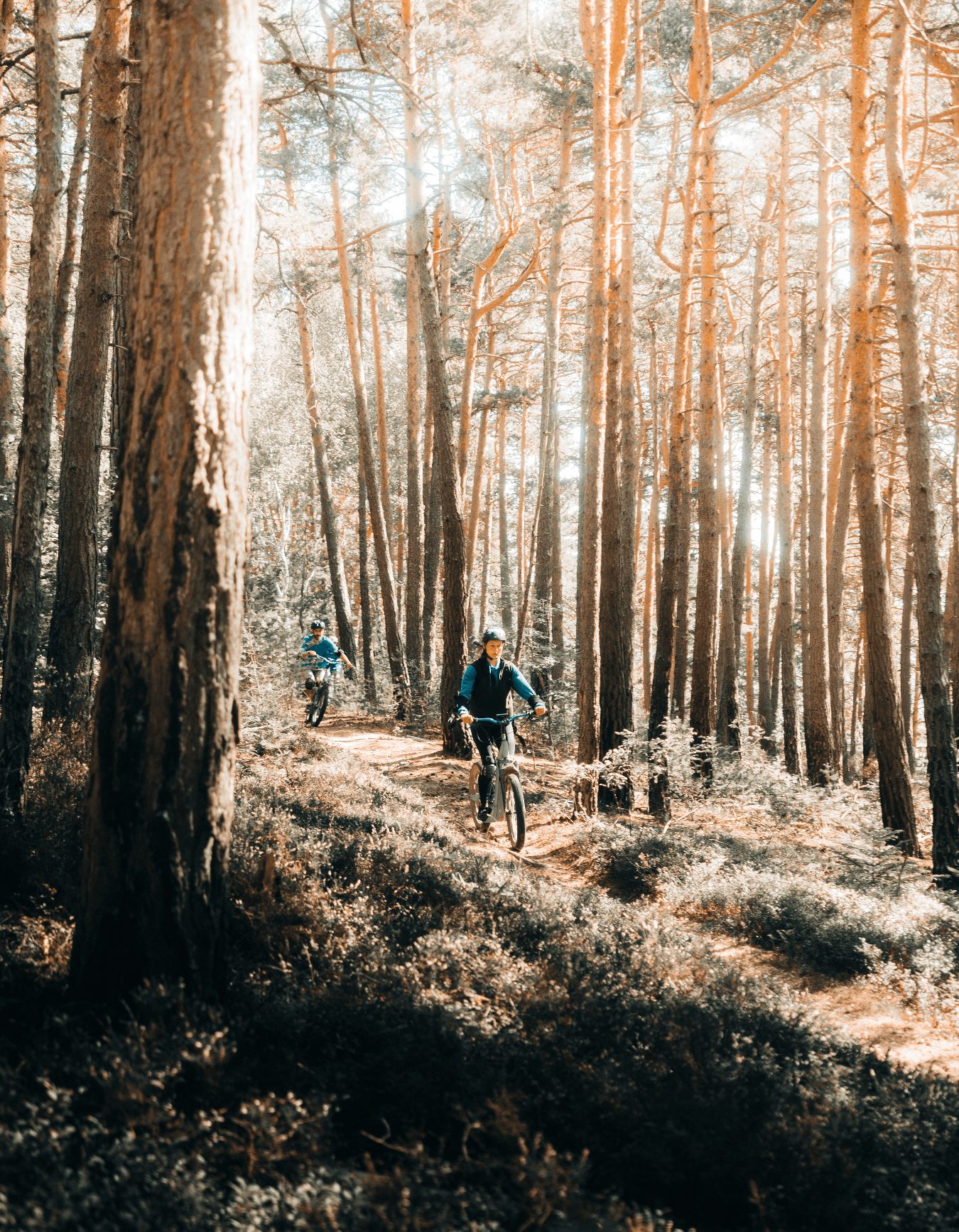 4837a53e-f87a-4eda-8b10-6a6f2ed11cc3