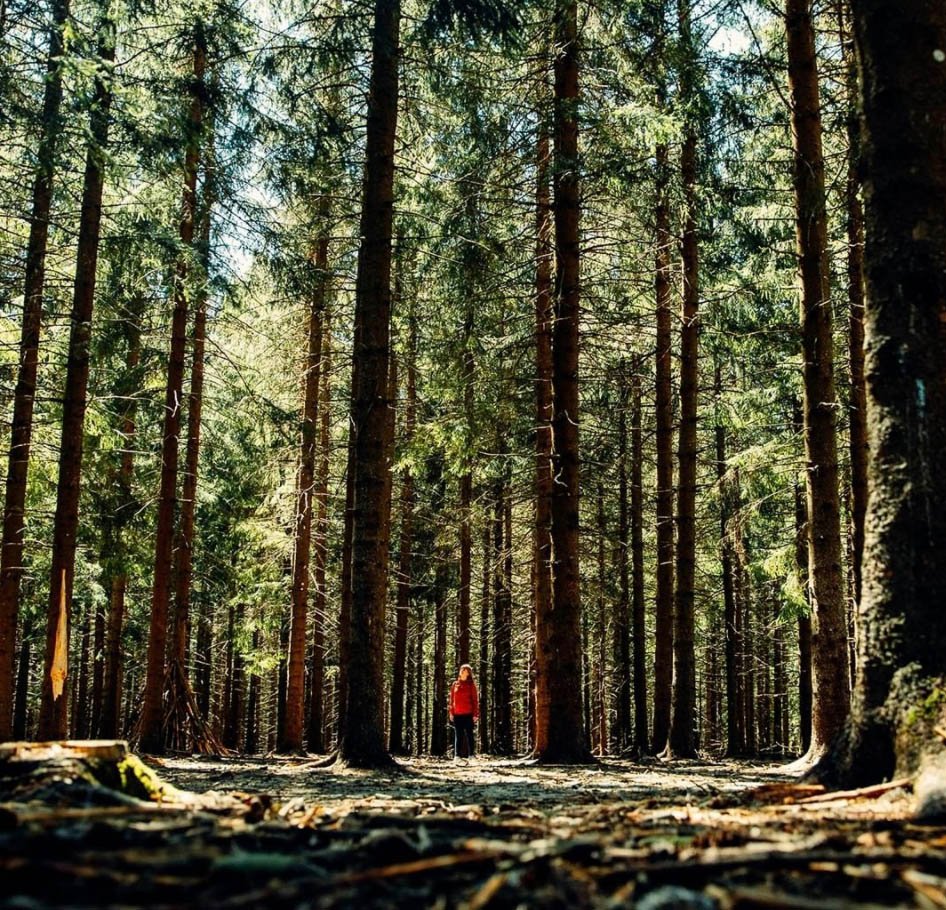 48c4357c-7b54-4d00-a06c-8cccfbf4b1c8