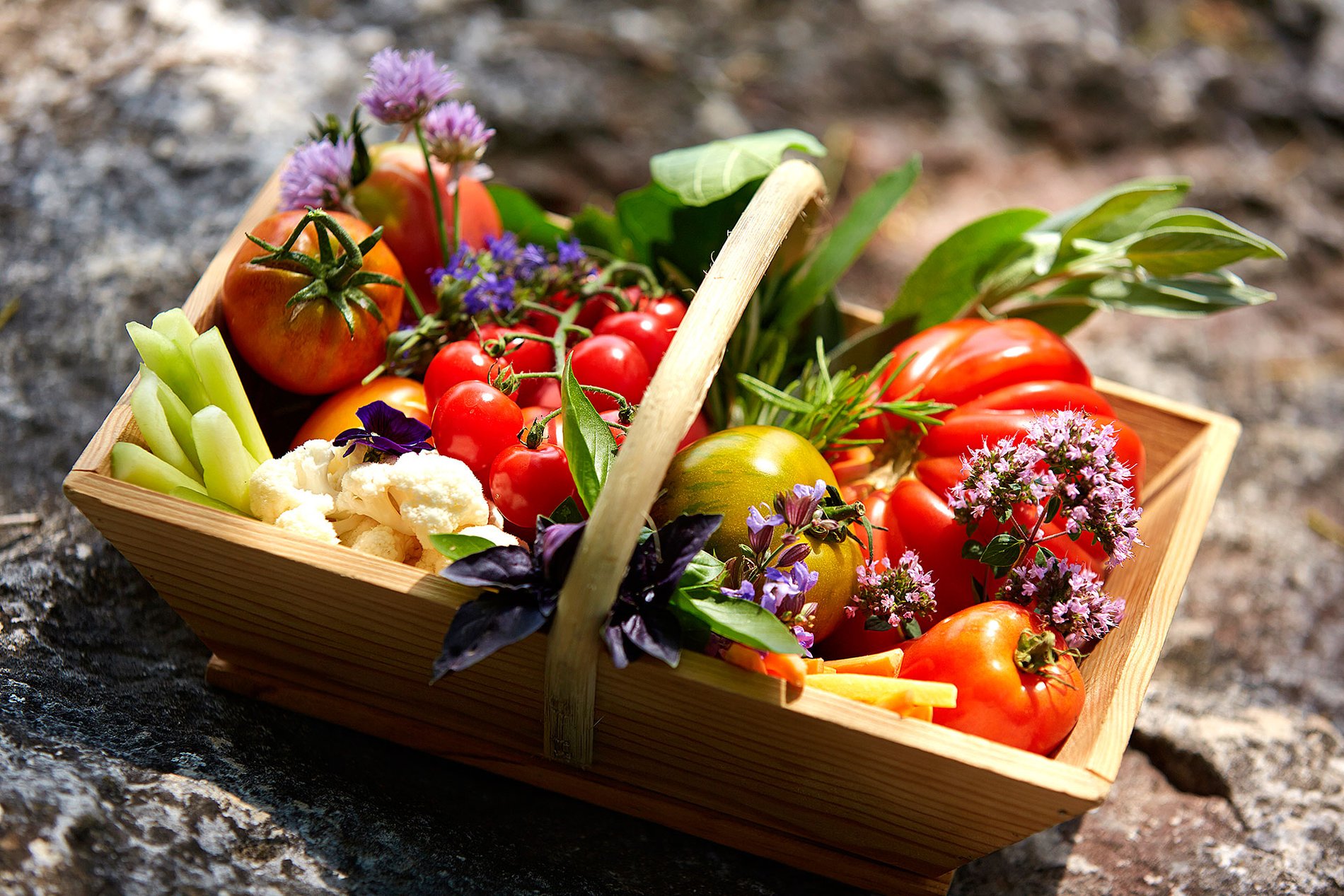 49eec319-d7b6-4750-922d-c951bfdd6b78