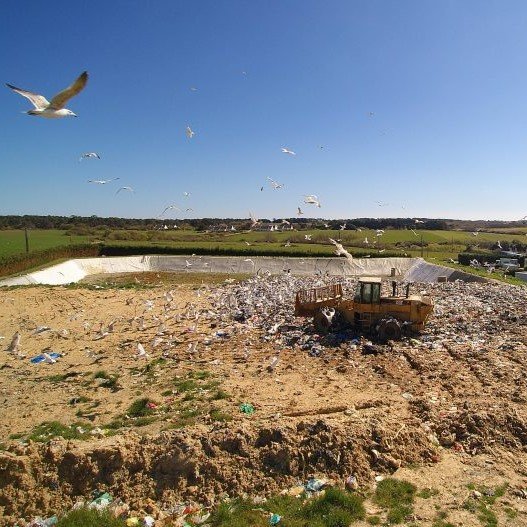 4db99a4b-a937-4d9a-8821-ce13fc169e62