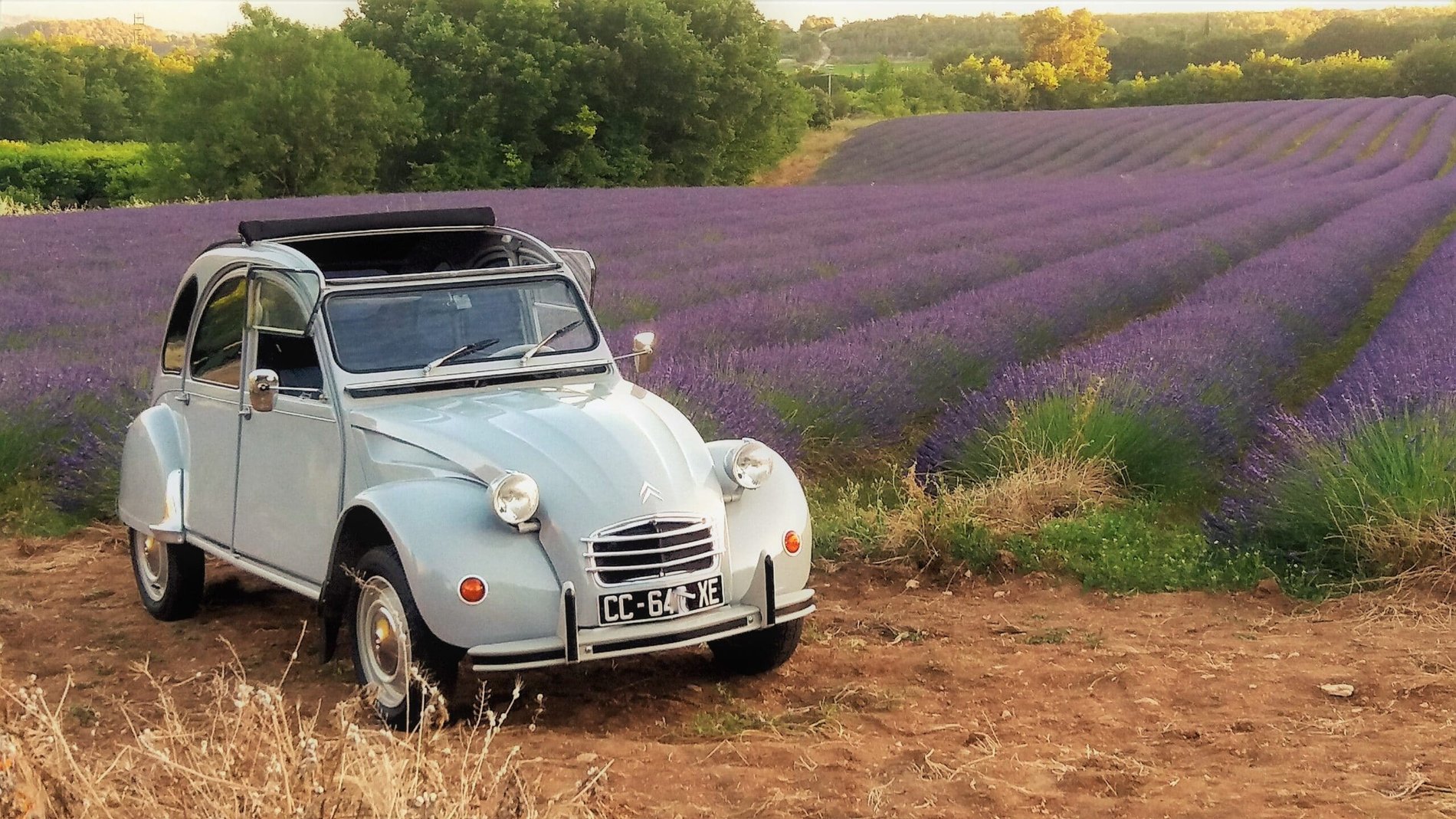 524f5e3c-2b02-48e0-b56e-4fc8d8512508