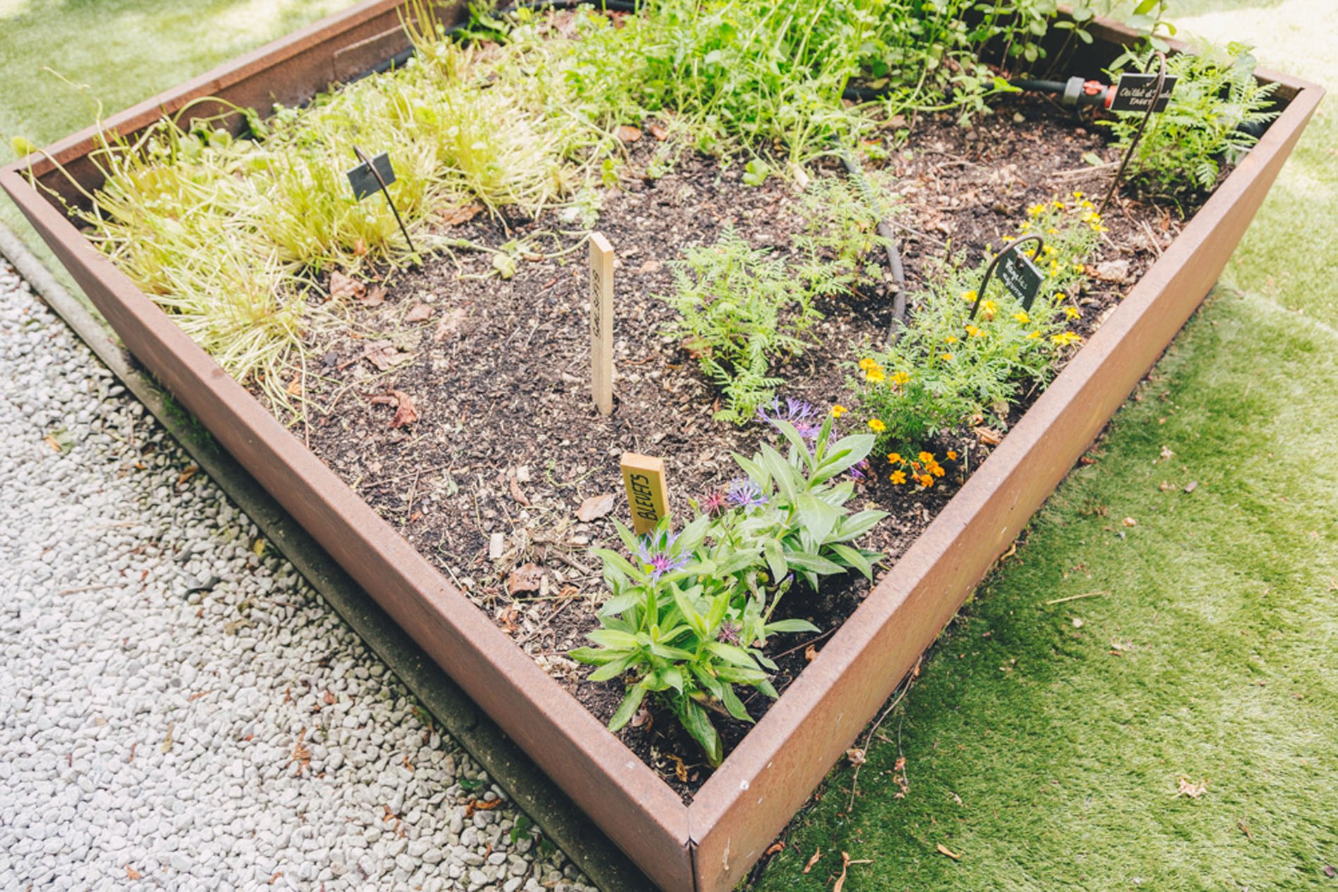 54e99fbf-6d65-498b-8e90-332a73ae8ac5