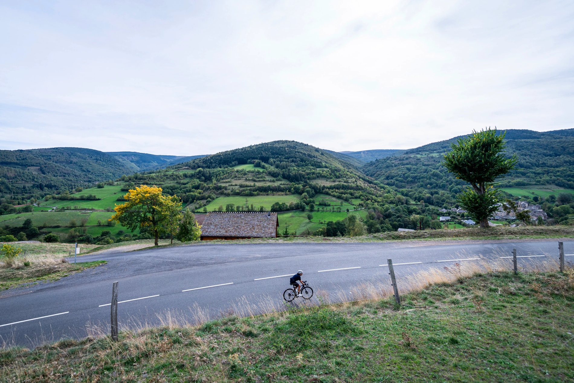 569587a7-1586-4095-aa29-aa31959a6419