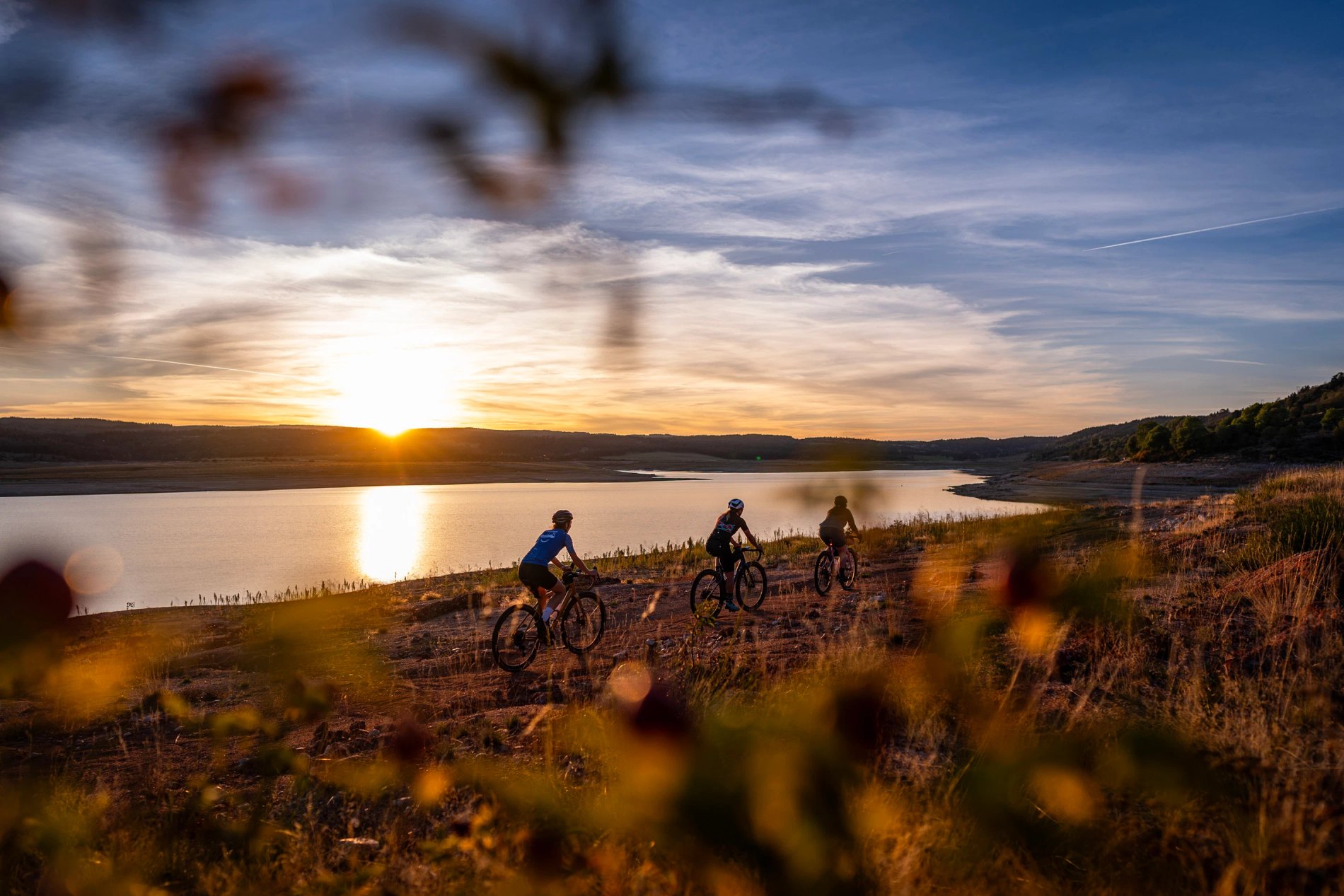 5a89b38f-fead-4cb4-aa82-327c9e00898f