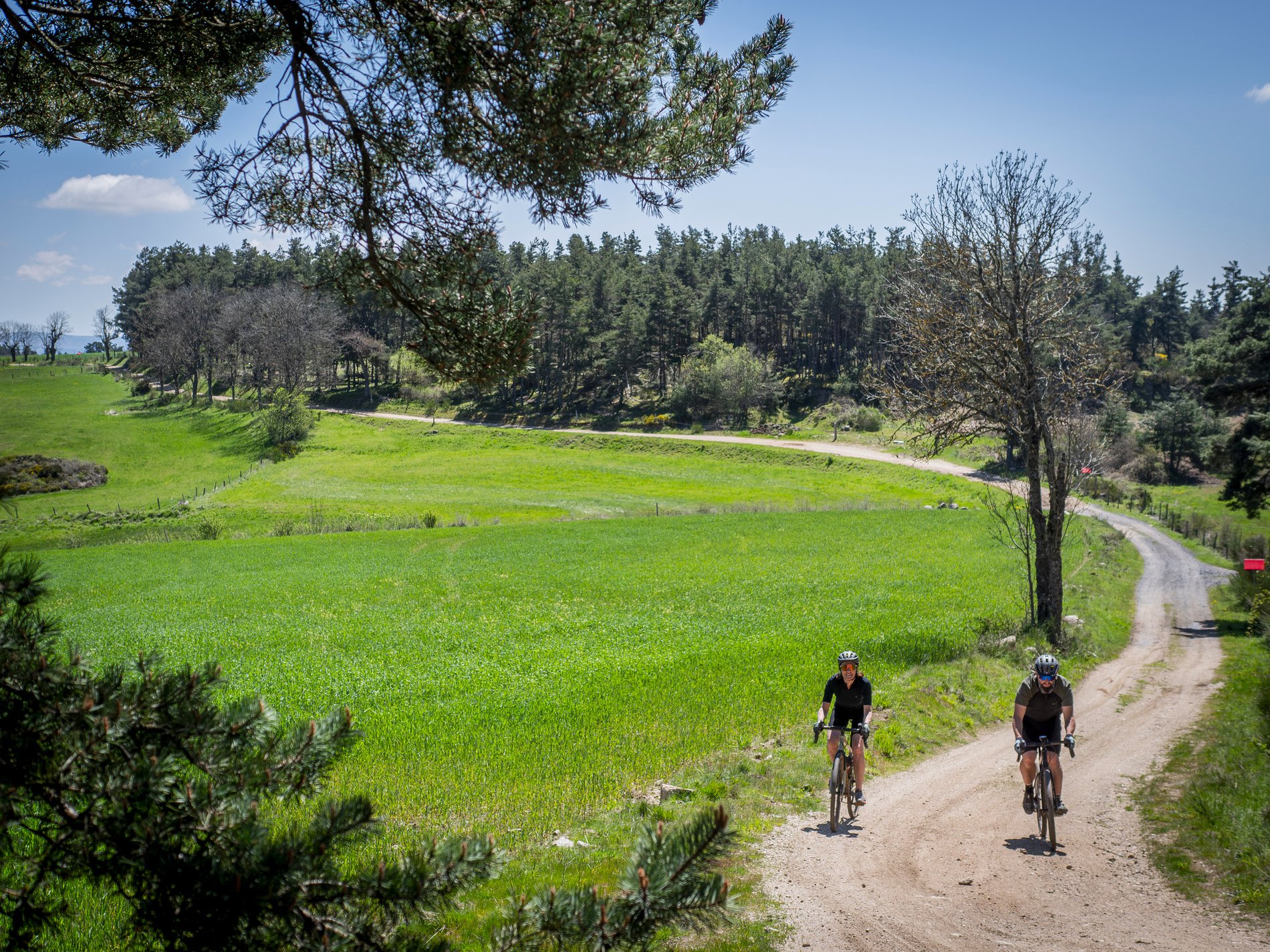 635ecca0-b2f2-4be9-a25b-a49a9d2854ef