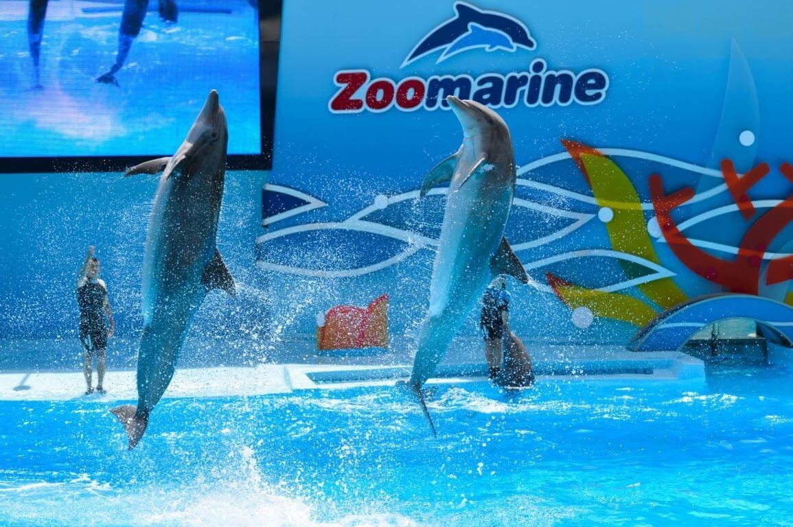 64e89831-c0fa-4b8d-9f7e-d0b236971236