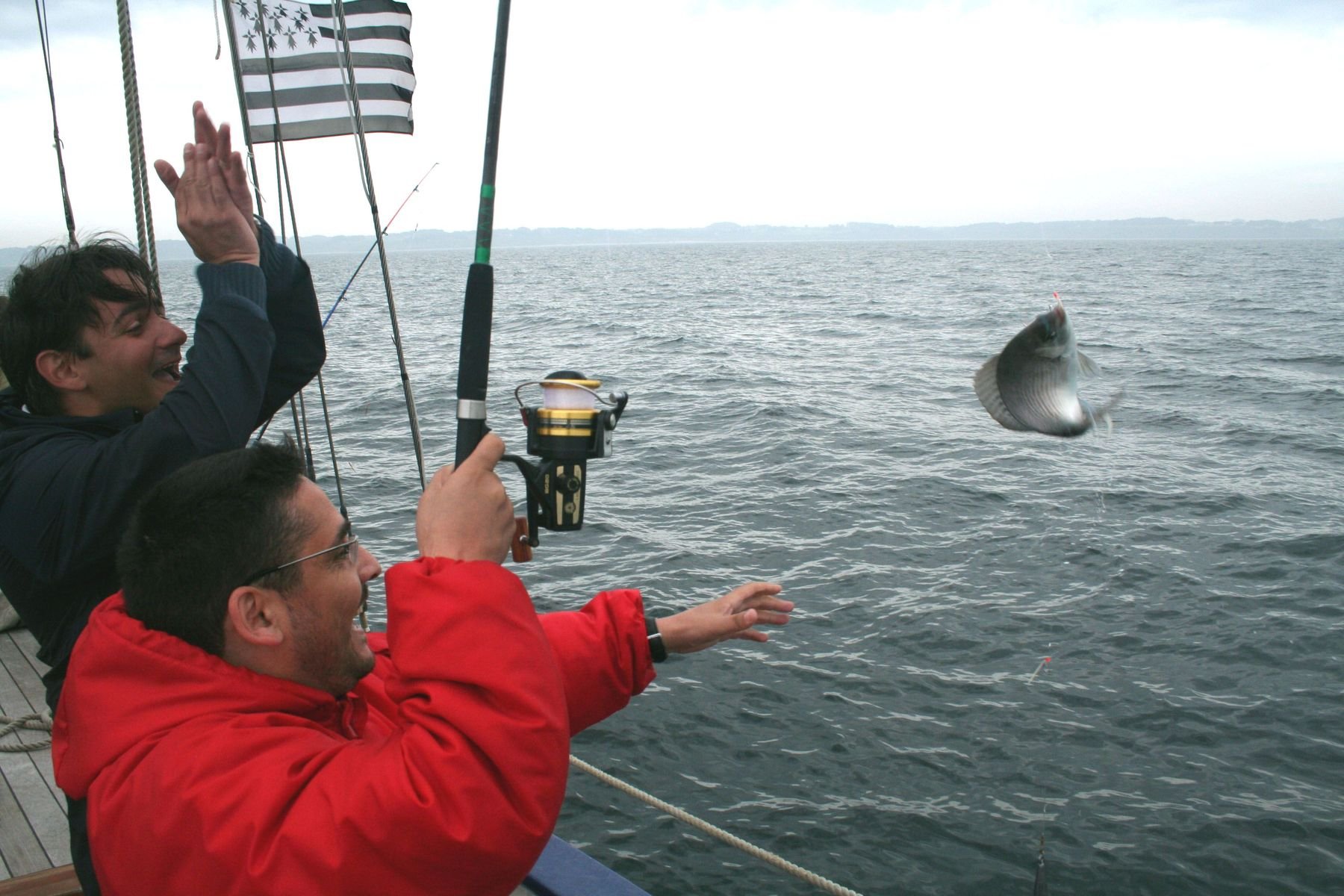 6e8a2423-12ae-477e-b8cc-473701c6317e