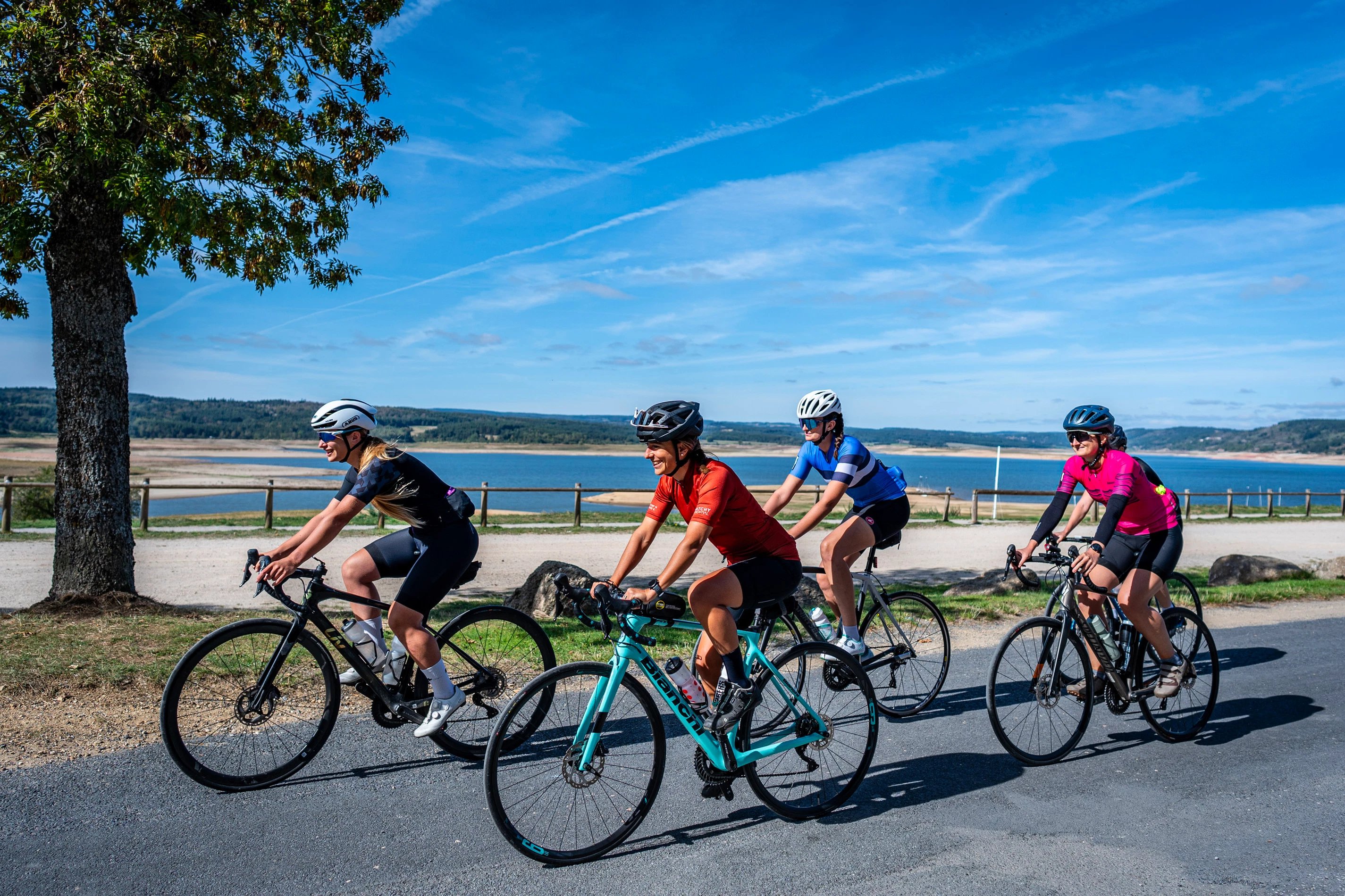 72a7c788-0d36-4d46-bb44-f9ab9e6c429b